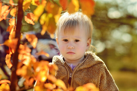 portrait of serious baby in fallの写真素材