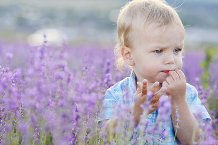 baby boy in the lavender summer fieldの写真素材