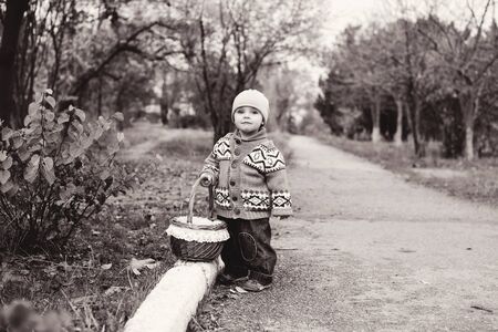 toddler boy in fall with a basketの写真素材