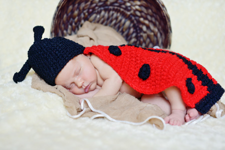 sweet sleeping newborn wearing ladybug costumeの写真素材