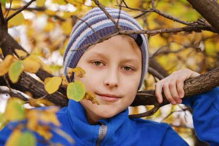 preteen boy portrait in the autumn parkの写真素材