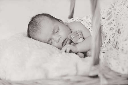 Newborn baby sleeping in a little basket with teddy bearの写真素材