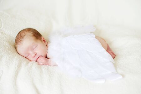 sleeping angelic newborn with the feather wingsの写真素材
