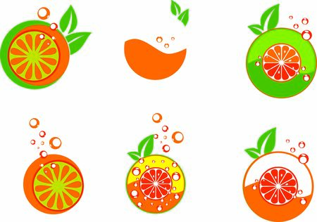 Orange vectors variables for food and beverage and not onlyのイラスト素材