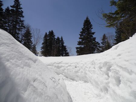 Snow
