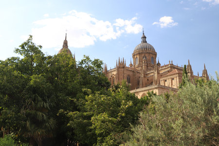 cathedral in the city of Salamanca, Castilla y Leon, Spainの写真素材
