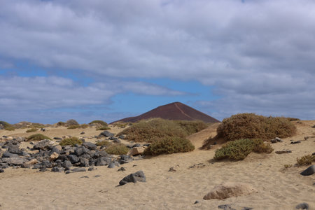 Volcanic landscape in Lanzarote, Canary Islands, Spainの写真素材