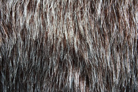 Fake Fur Background - Photography