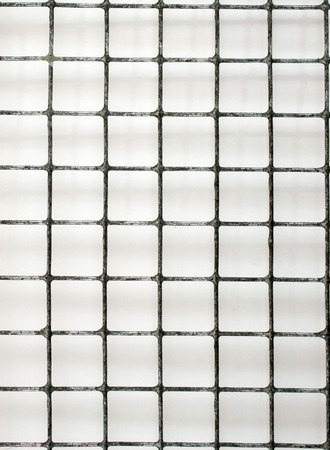 Metal Bars Chicken Wire Backgroundの写真素材