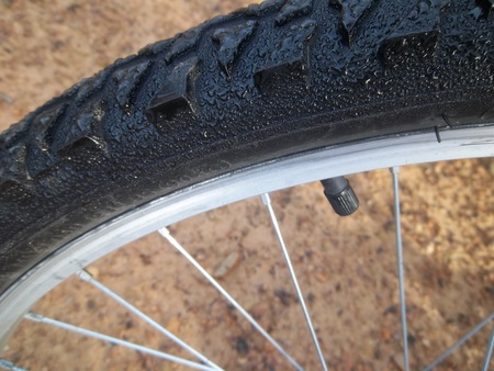 A dew drenched bike tire.の写真素材