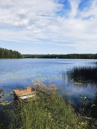 Swedish Summer.の写真素材