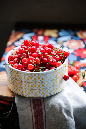 Bowl of sour cherries on a tableの写真素材