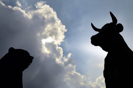 Bull and Bearの写真素材