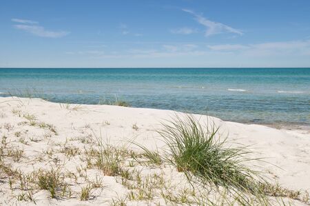 beach with beach grass in the foregroundの写真素材
