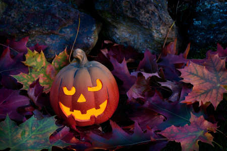 pumpkin with autumn leavesの写真素材