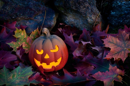 pumpkin with autumn leavesの写真素材