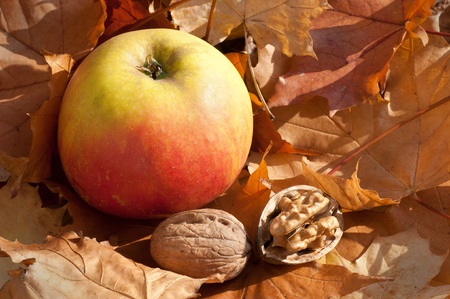 Apple and nutsの写真素材