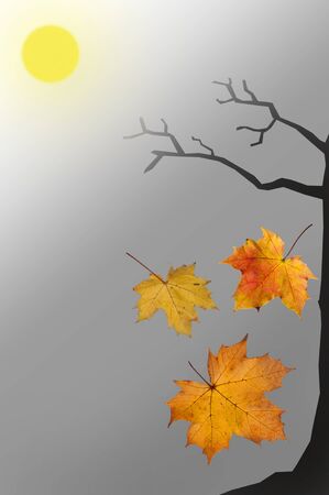 Autumn nightの写真素材