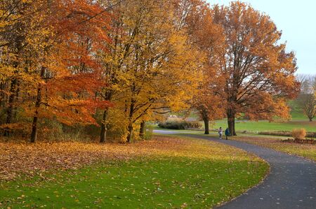 Autumn in the Parkの写真素材
