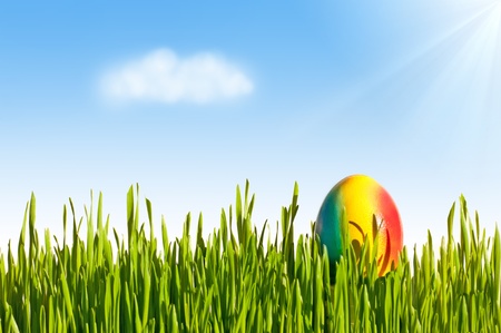 easter egg on grass with sky and sunの写真素材
