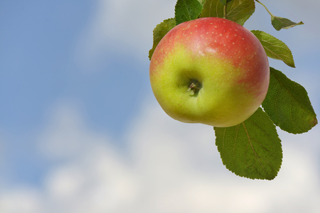 Apple with sky and cloudsの写真素材