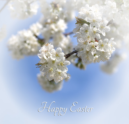Happy Easterの写真素材