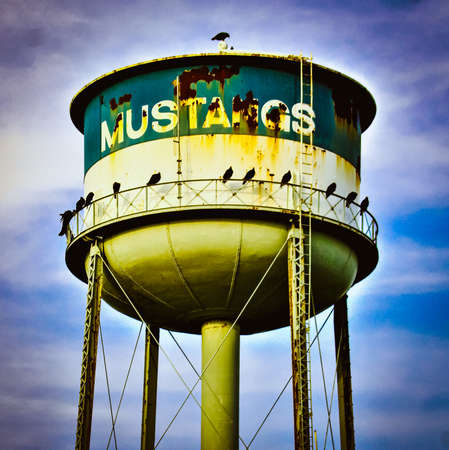 A group of turkey vultures resting on an old, rusty water tomer in the small town of Orwell, Ohioのeditorial素材