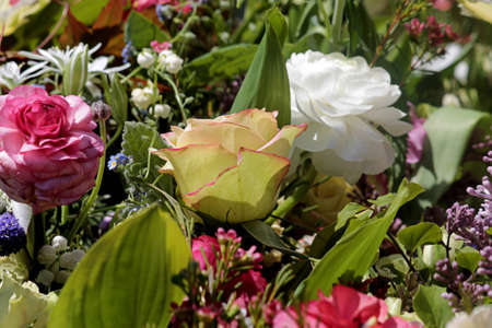 Bunch of Flowersの写真素材