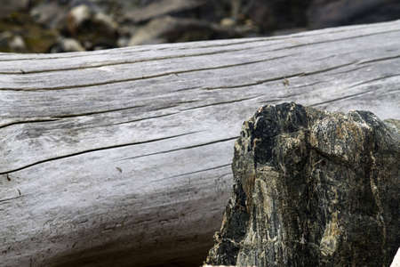 Driftwood with Rockの写真素材