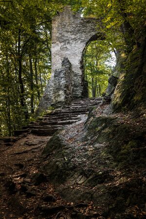 Dark path in forest with ruin of gate near castle Bezdezの写真素材