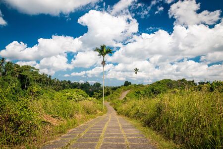 Stone footpath with green grass on the hillside valley. Campuhan Ridge Walk, Ubud, Bali, Indonesia.