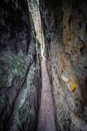 Labyrinth in sandstone cliffes in Kokorin area in Czech Republic.の写真素材
