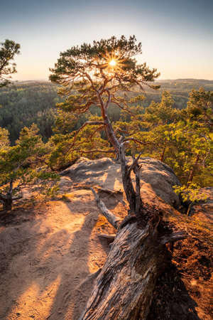 Sunset over deep forest of Kokorinsko area, Czechの写真素材
