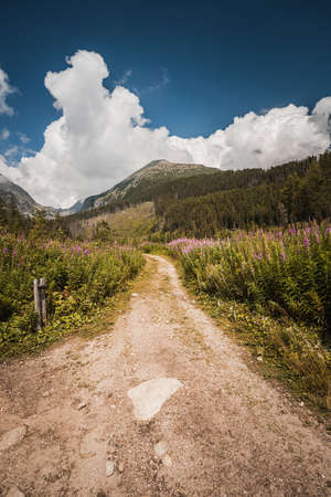 Pathway for trekking of High Tatras during summer seasonの写真素材