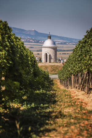 Very popular place called Hradistek in vineyards of South Moraviaの写真素材