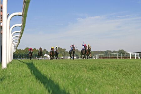 horse raceのeditorial素材