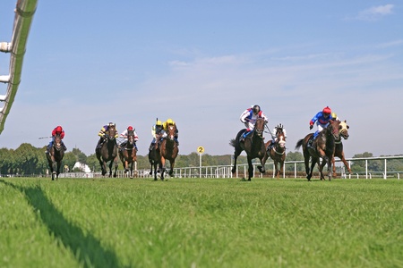 horse raceのeditorial素材
