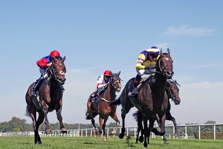 horse raceのeditorial素材