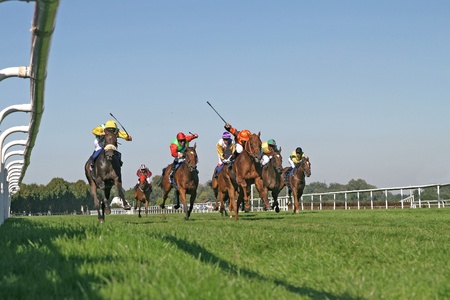 horse raceのeditorial素材