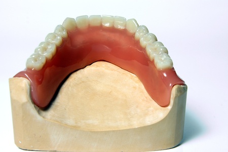 Mandible