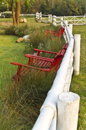 red armchair  in the garden.の写真素材
