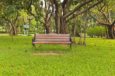 Bench in the parkの写真素材
