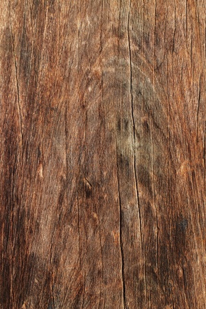A background of woodの写真素材