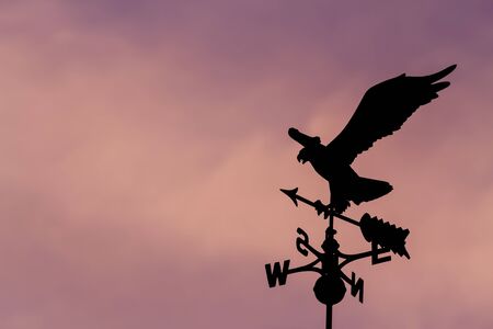 Eagle weather vane in a beautiful skyの写真素材