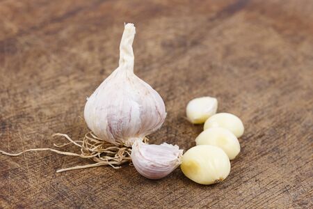 Garlicの写真素材