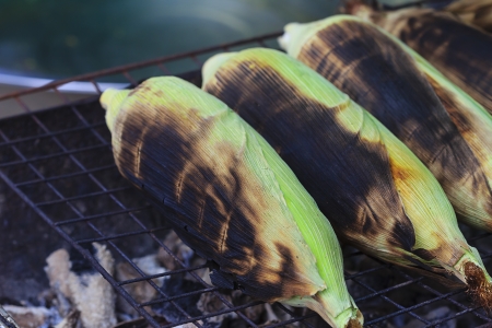 grilled cornsの写真素材