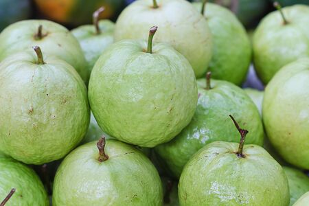 Fresh guavasの写真素材