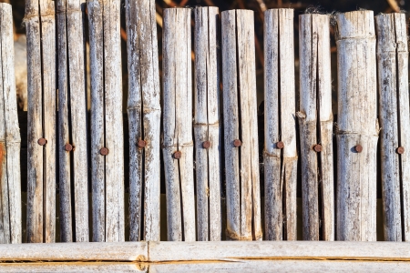 bamboo backgroundの写真素材