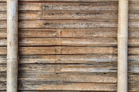 beautiful Japanese bamboo backgroundの写真素材