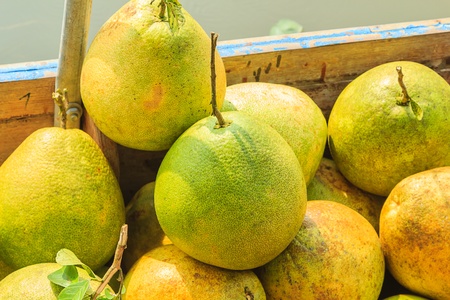 Grapefruit put for saleの写真素材